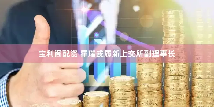 宝利阁配资 霍瑞戎履新上交所副理事长